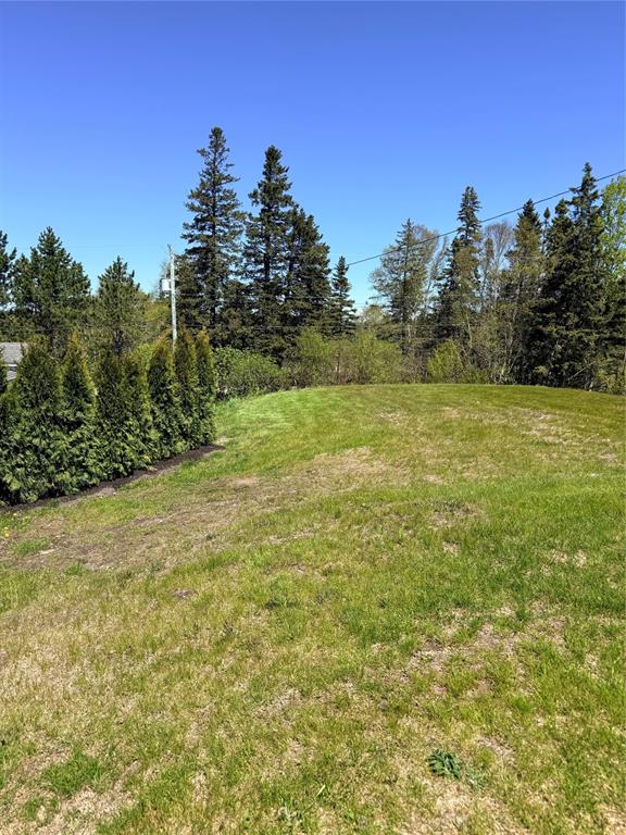 174 OCEANVIEW CRESCENT, BROOKLYN, Newfoundland, Canada A0C 1V0, ,1 BathroomBathrooms,Residential,For Sale,OCEANVIEW CRESCENT,6259