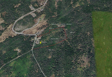 295-307 CEMETERY ROAD, BRIGUS, Newfoundland, Canada A0A 1K0, ,1 BathroomBathrooms,Residential,For Sale,CEMETERY ROAD,6262