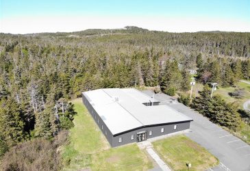 7-9 RODDICK CRESCENT, HARBOUR GRACE, Newfoundland, Canada A0A2M0, ,1 BathroomBathrooms,Commercial,For Sale,RODDICK CRESCENT,6265