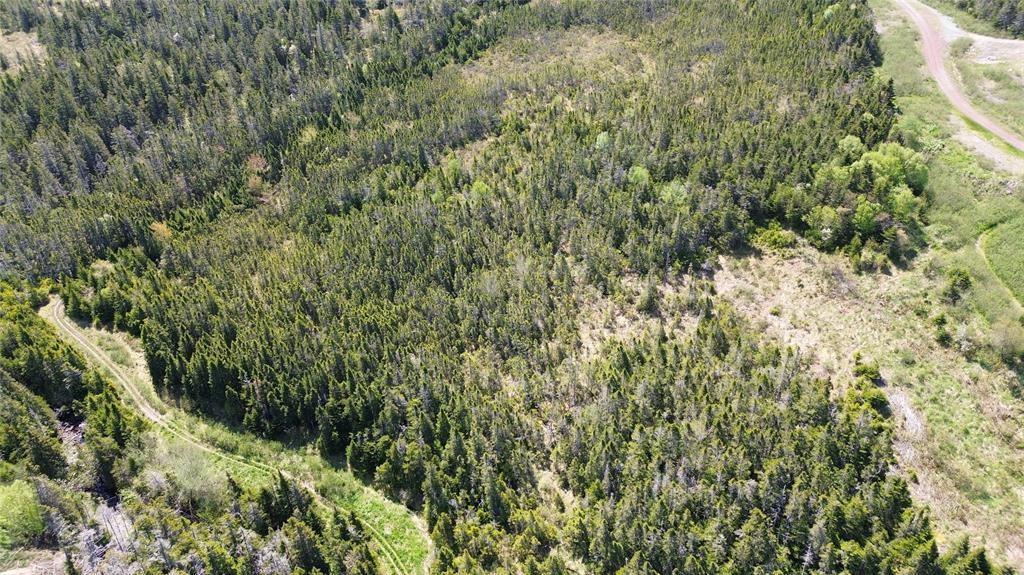 237B CRESTON BLVD, MARYSTOWN, Newfoundland, Canada A0E2M0, ,0,Land,For Sale,CRESTON BLVD,6269