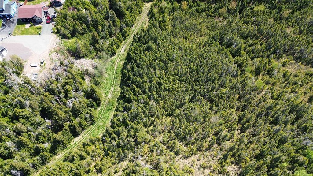 237B CRESTON BLVD, MARYSTOWN, Newfoundland, Canada A0E2M0, ,0,Land,For Sale,CRESTON BLVD,6269