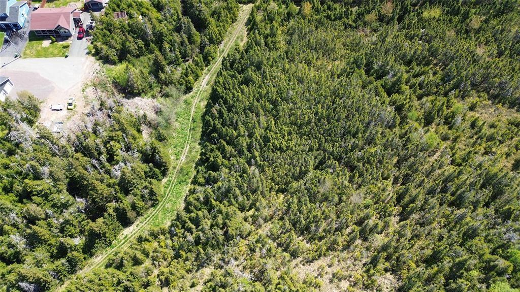 237B CRESTON BLVD, MARYSTOWN, Newfoundland, Canada A0E2M0, ,0,Land,For Sale,CRESTON BLVD,6269