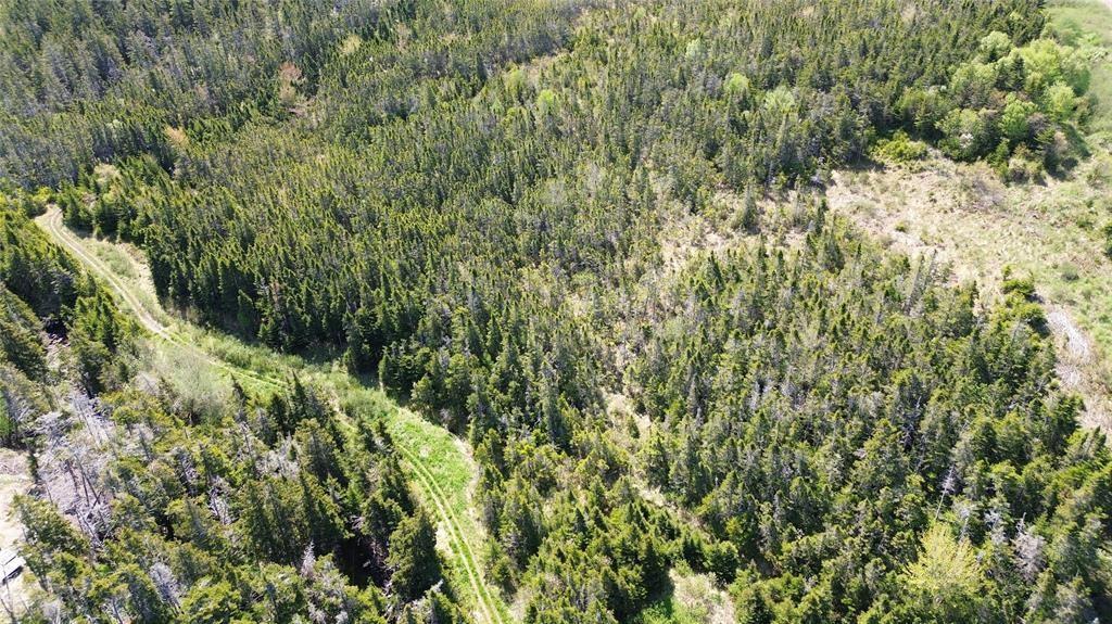 237B CRESTON BLVD, MARYSTOWN, Newfoundland, Canada A0E2M0, ,0,Land,For Sale,CRESTON BLVD,6269