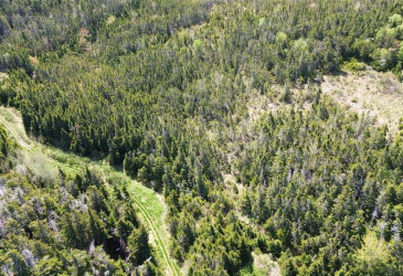 237B CRESTON BLVD, MARYSTOWN, Newfoundland, Canada A0E2M0, ,0,Land,For Sale,CRESTON BLVD,6269