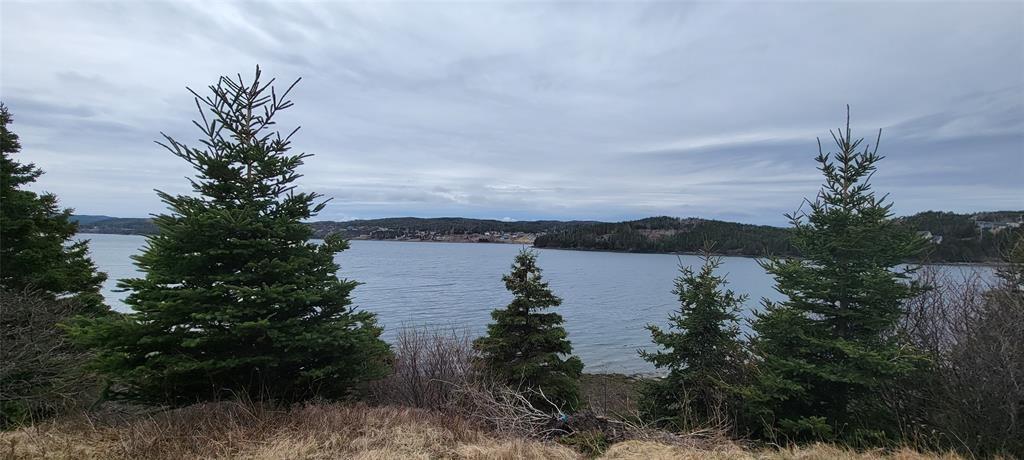 7A GREEN'S ROAD, BURIN BAY ARM, Newfoundland, Canada A0E1G0, ,0,Land,For Sale,GREEN'S ROAD,6275