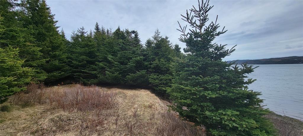 7A GREEN'S ROAD, BURIN BAY ARM, Newfoundland, Canada A0E1G0, ,0,Land,For Sale,GREEN'S ROAD,6275