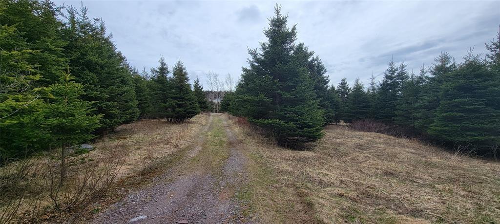 7A GREEN'S ROAD, BURIN BAY ARM, Newfoundland, Canada A0E1G0, ,0,Land,For Sale,GREEN'S ROAD,6275