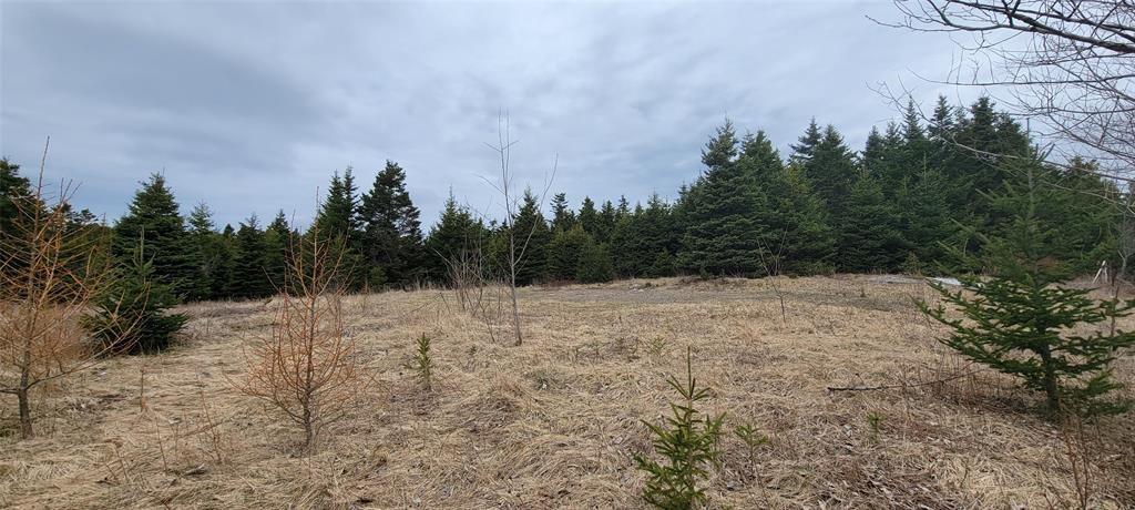 7A GREEN'S ROAD, BURIN BAY ARM, Newfoundland, Canada A0E1G0, ,0,Land,For Sale,GREEN'S ROAD,6275