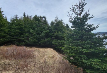 7A GREEN'S ROAD, BURIN BAY ARM, Newfoundland, Canada A0E1G0, ,0,Land,For Sale,GREEN'S ROAD,6275 7A GREEN'S ROAD, BURIN BAY ARM, Newfoundland, Canada A0E1G0, ,0,Land,For Sale,GREEN'S ROAD,6275