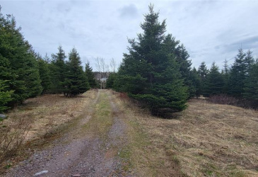 7A GREEN'S ROAD, BURIN BAY ARM, Newfoundland, Canada A0E1G0, ,0,Land,For Sale,GREEN'S ROAD,6275 7A GREEN'S ROAD, BURIN BAY ARM, Newfoundland, Canada A0E1G0, ,0,Land,For Sale,GREEN'S ROAD,6275