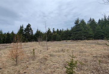 7A GREEN'S ROAD, BURIN BAY ARM, Newfoundland, Canada A0E1G0, ,0,Land,For Sale,GREEN'S ROAD,6275 7A GREEN'S ROAD, BURIN BAY ARM, Newfoundland, Canada A0E1G0, ,0,Land,For Sale,GREEN'S ROAD,6275
