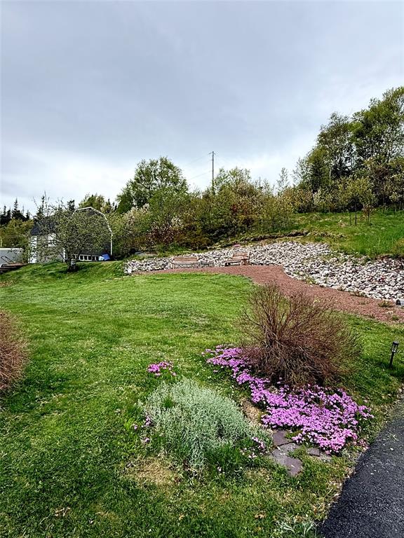 42 OLD MILL ROAD, DEEP BIGHT, Newfoundland, Canada A0E 2A0, ,2 BathroomsBathrooms,Residential,For Sale,OLD MILL ROAD,6278