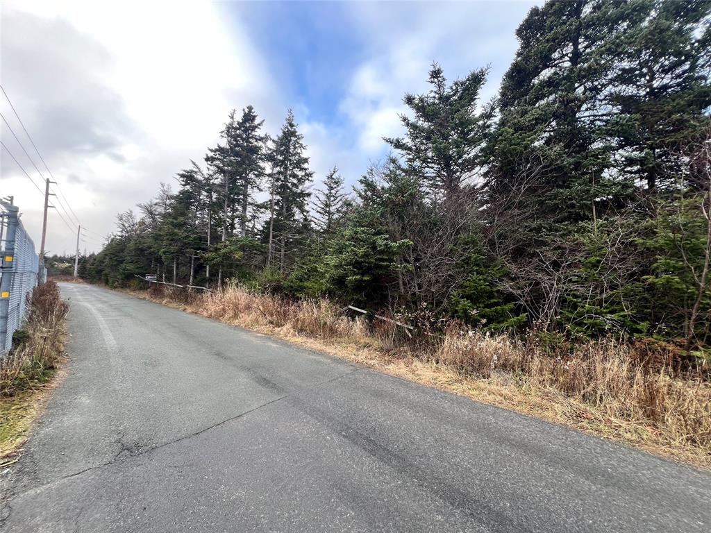 2-12 CATHILL ROAD, BAY ROBERTS, Newfoundland, Canada A0A 1G0, ,0,Residential,For Sale,CATHILL ROAD,6298