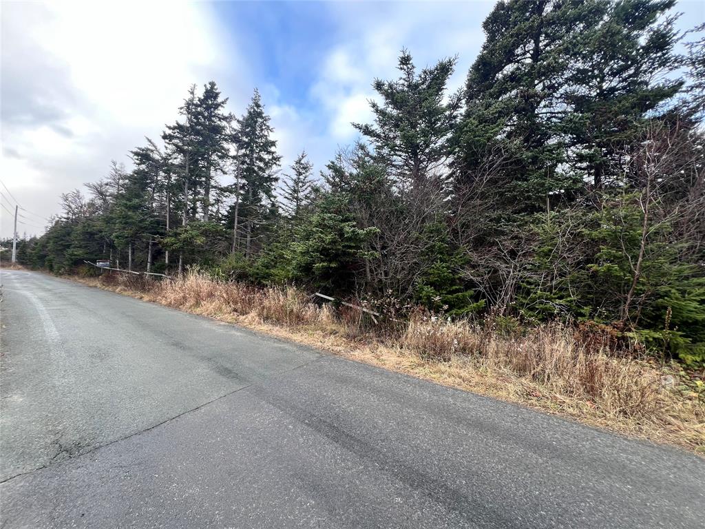 2-12 CATHILL ROAD, BAY ROBERTS, Newfoundland, Canada A0A 1G0, ,0,Residential,For Sale,CATHILL ROAD,6298