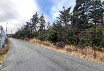 2-12 CATHILL ROAD, BAY ROBERTS, Newfoundland, Canada A0A 1G0, ,0,Residential,For Sale,CATHILL ROAD,6298