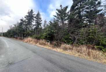 2-12 CATHILL ROAD, BAY ROBERTS, Newfoundland, Canada A0A 1G0, ,0,Residential,For Sale,CATHILL ROAD,6298