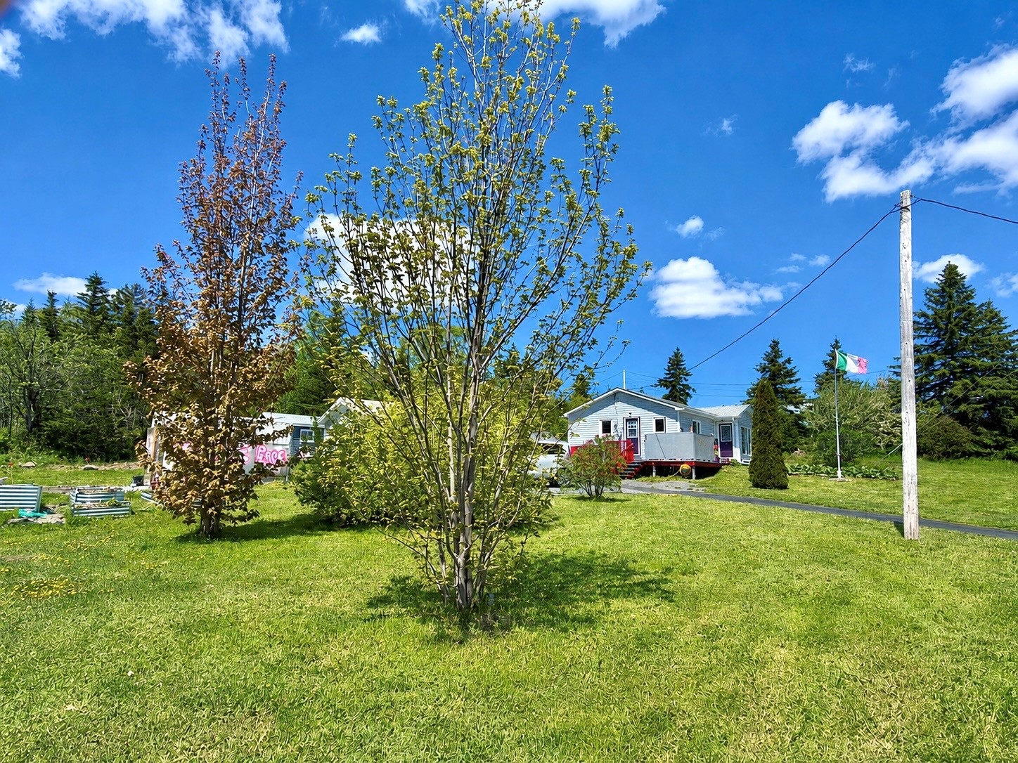 89 MAIN ROAD, BLOOMFIELD, Newfoundland, Canada A0C 1A0, ,1 BathroomBathrooms,Residential,For Sale,MAIN ROAD,6307