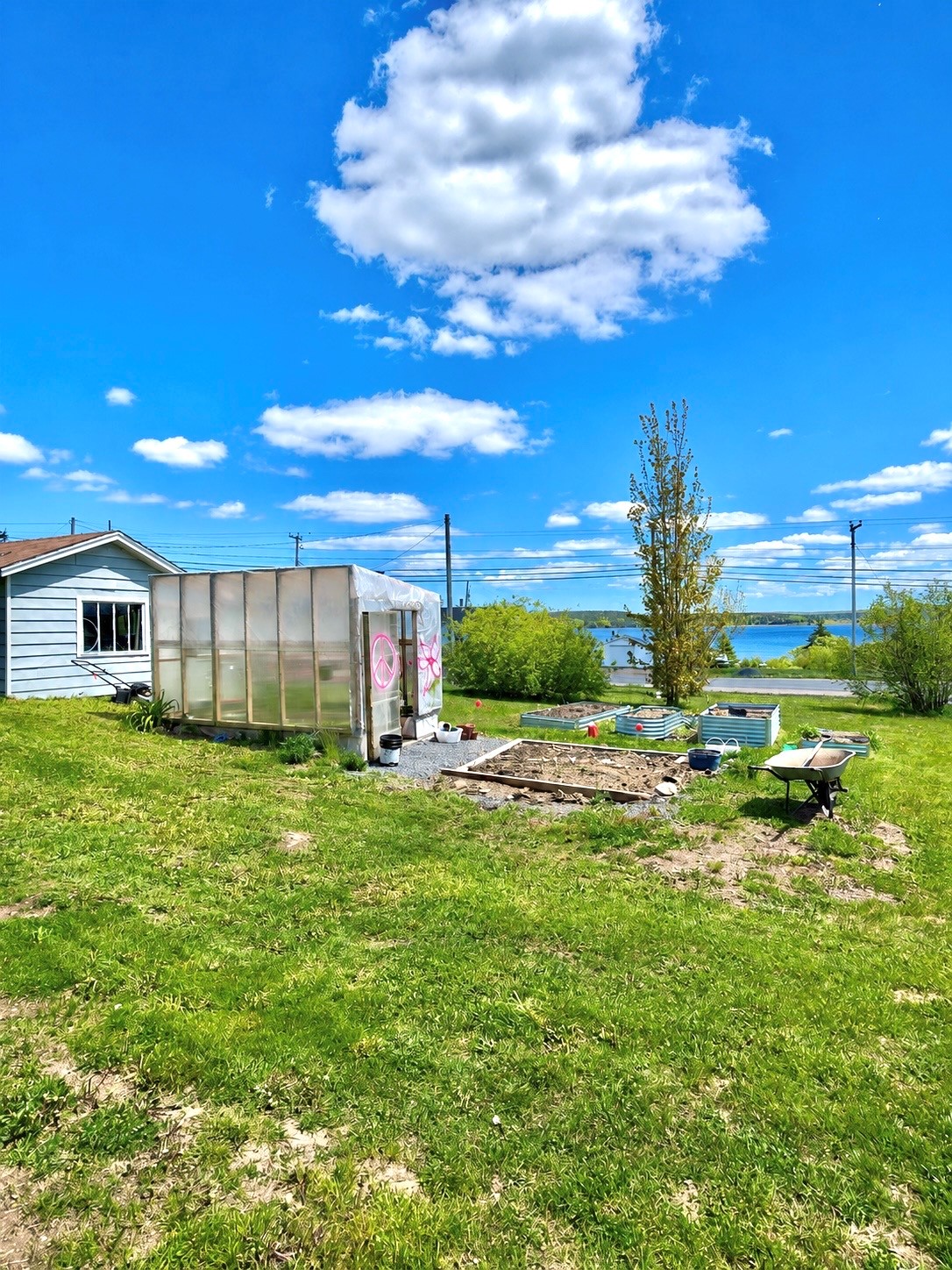89 MAIN ROAD, BLOOMFIELD, Newfoundland, Canada A0C 1A0, ,1 BathroomBathrooms,Residential,For Sale,MAIN ROAD,6307