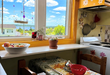 89 MAIN ROAD, BLOOMFIELD, Newfoundland, Canada A0C 1A0, ,1 BathroomBathrooms,Residential,For Sale,MAIN ROAD,6307