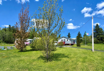 89 MAIN ROAD, BLOOMFIELD, Newfoundland, Canada A0C 1A0, ,1 BathroomBathrooms,Residential,For Sale,MAIN ROAD,6307