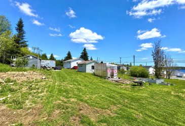 89 MAIN ROAD, BLOOMFIELD, Newfoundland, Canada A0C 1A0, ,1 BathroomBathrooms,Residential,For Sale,MAIN ROAD,6307