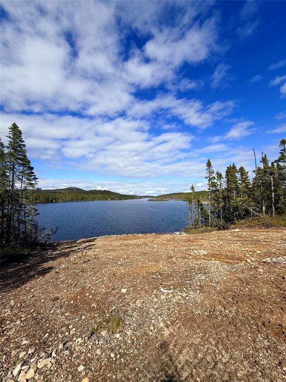 0 CLUB POND, CLARENVILLE, Newfoundland, Canada A5A 3A2, ,0,Residential,For Sale,CLUB POND,6308