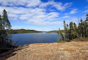 0 CLUB POND, CLARENVILLE, Newfoundland, Canada A5A 3A2, ,0,Residential,For Sale,CLUB POND,6308