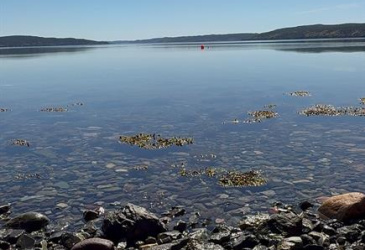8 BEACH PATH, DEEP BIGHT, Newfoundland, Canada A0E 2A0, ,4 BathroomsBathrooms,Residential,For Sale,BEACH PATH,6310 8 BEACH PATH, DEEP BIGHT, Newfoundland, Canada A0E 2A0, ,4 BathroomsBathrooms,Residential,For Sale,BEACH PATH,6310