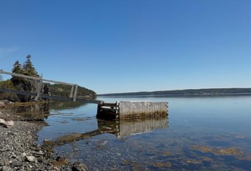8 BEACH PATH, DEEP BIGHT, Newfoundland, Canada A0E 2A0, ,4 BathroomsBathrooms,Residential,For Sale,BEACH PATH,6310 8 BEACH PATH, DEEP BIGHT, Newfoundland, Canada A0E 2A0, ,4 BathroomsBathrooms,Residential,For Sale,BEACH PATH,6310