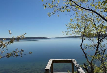 8 BEACH PATH, DEEP BIGHT, Newfoundland, Canada A0E 2A0, ,4 BathroomsBathrooms,Residential,For Sale,BEACH PATH,6310 8 BEACH PATH, DEEP BIGHT, Newfoundland, Canada A0E 2A0, ,4 BathroomsBathrooms,Residential,For Sale,BEACH PATH,6310