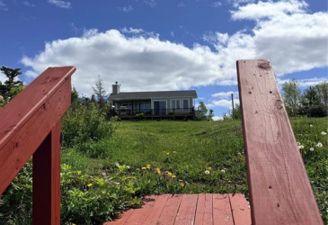 321 MAIN ROAD, SNOOKS HARBOUR, Newfoundland, Canada A5A 3A1, ,1 BathroomBathrooms,Residential,For Sale,MAIN ROAD,6313