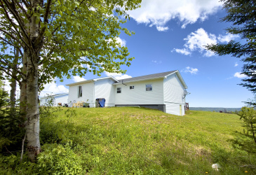 80 FARM ROAD, DEEP BIGHT, Newfoundland, Canada A5A 2C2, ,1 BathroomBathrooms,Residential,For Sale,FARM ROAD,6314