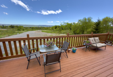 80 FARM ROAD, DEEP BIGHT, Newfoundland, Canada A5A 2C2, ,1 BathroomBathrooms,Residential,For Sale,FARM ROAD,6314