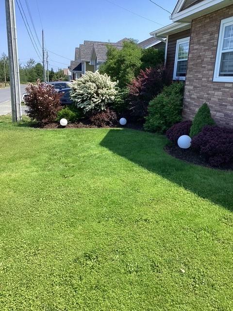 11 DIBERVILLE STREET, CARBONEAR, Newfoundland, Canada A1Y 1A4, ,2 BathroomsBathrooms,Residential,For Sale,DIBERVILLE STREET,6317