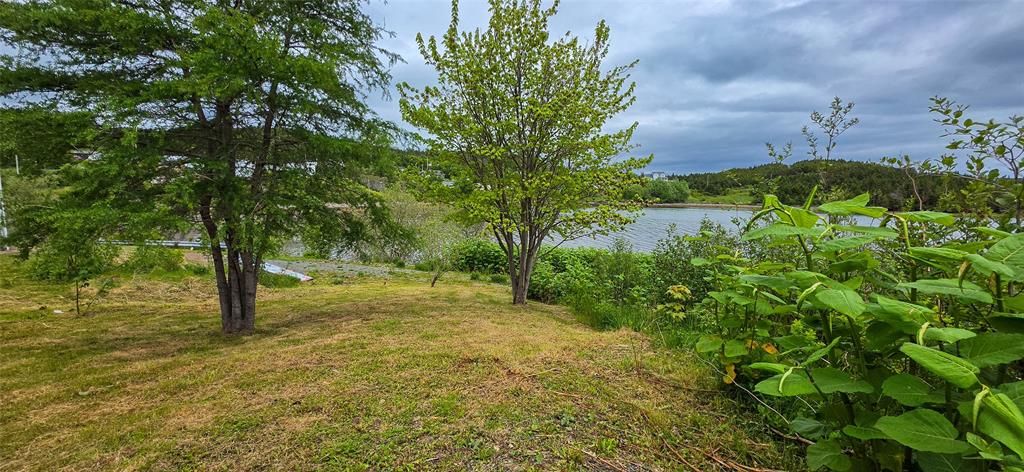 133 MAIN ROAD, LEWIN'S COVE, Newfoundland, Canada A0E 2M0, ,1 BathroomBathrooms,Residential,Reduced,MAIN ROAD,6320