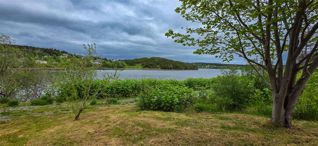 133 MAIN ROAD, LEWIN'S COVE, Newfoundland, Canada A0E 2M0, ,1 BathroomBathrooms,Residential,Reduced,MAIN ROAD,6320