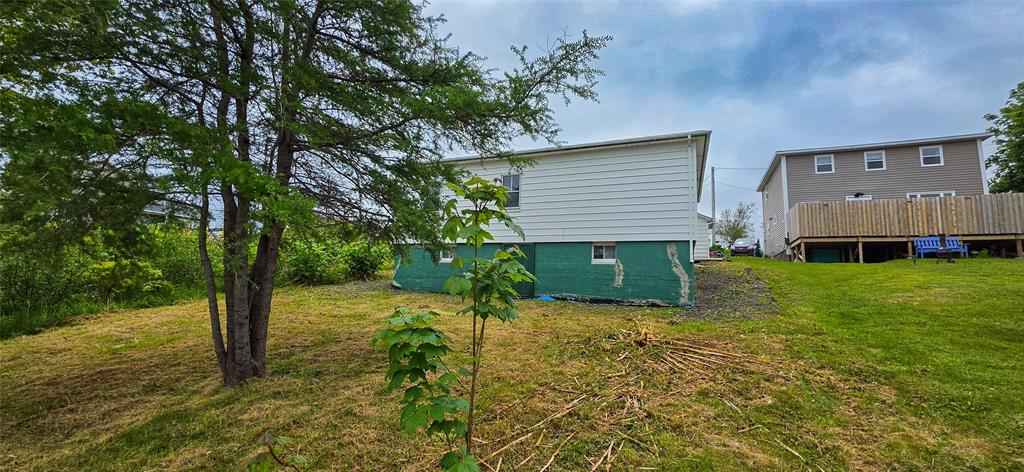 133 MAIN ROAD, LEWIN'S COVE, Newfoundland, Canada A0E 2M0, ,1 BathroomBathrooms,Residential,Reduced,MAIN ROAD,6320