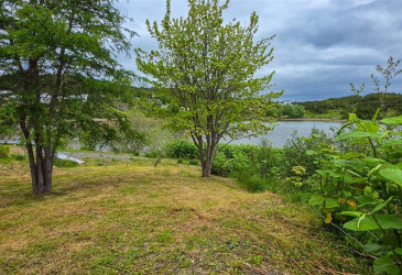 133 MAIN ROAD, LEWIN'S COVE, Newfoundland, Canada A0E 2M0, ,1 BathroomBathrooms,Residential,For Sale,MAIN ROAD,6320