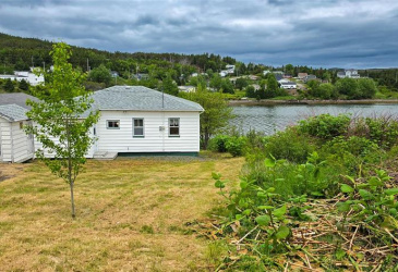 133 MAIN ROAD, LEWIN'S COVE, Newfoundland, Canada A0E 2M0, ,1 BathroomBathrooms,Residential,For Sale,MAIN ROAD,6320