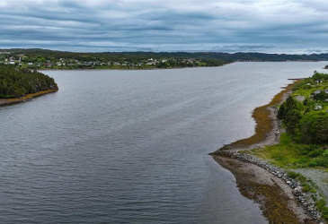 133 MAIN ROAD, LEWIN'S COVE, Newfoundland, Canada A0E 2M0, ,1 BathroomBathrooms,Residential,For Sale,MAIN ROAD,6320