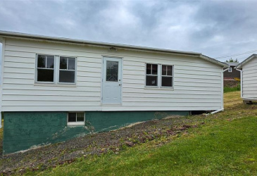 133 MAIN ROAD, LEWIN'S COVE, Newfoundland, Canada A0E 2M0, ,1 BathroomBathrooms,Residential,For Sale,MAIN ROAD,6320
