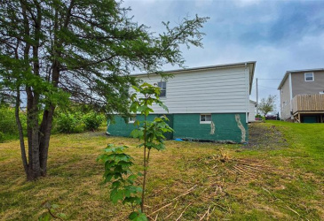 133 MAIN ROAD, LEWIN'S COVE, Newfoundland, Canada A0E 2M0, ,1 BathroomBathrooms,Residential,For Sale,MAIN ROAD,6320