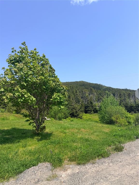 3 MAIN ROAD, TROUTY, Newfoundland, Canada A0L 1T0, ,2 BathroomsBathrooms,Residential,For Sale,MAIN ROAD,6326