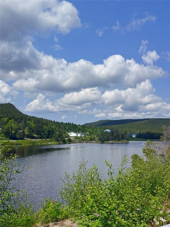 3 MAIN ROAD, TROUTY, Newfoundland, Canada A0L 1T0, ,2 BathroomsBathrooms,Residential,For Sale,MAIN ROAD,6326