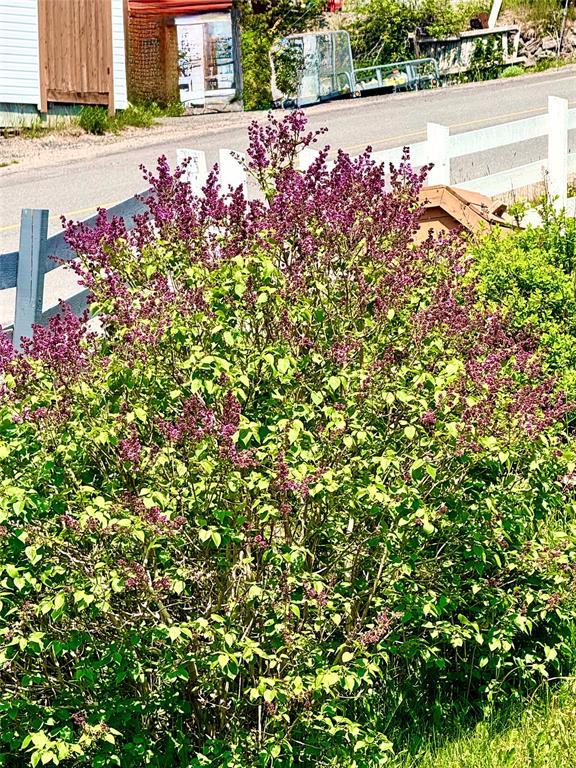 3 MAIN ROAD, TROUTY, Newfoundland, Canada A0L 1T0, ,2 BathroomsBathrooms,Residential,For Sale,MAIN ROAD,6326