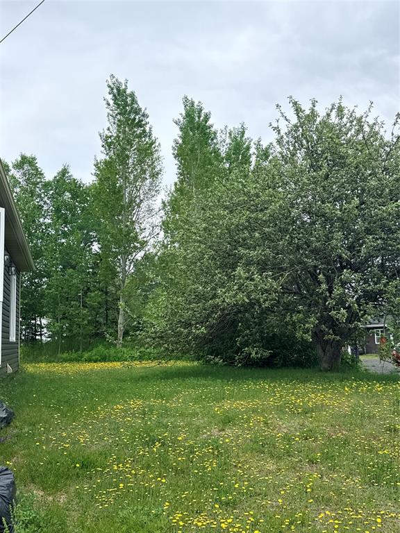 6 HOBBS ROAD, PORT BLANDFORD, Newfoundland, Canada A0C 2G0, ,1 BathroomBathrooms,Residential,For Sale,HOBBS ROAD,6331