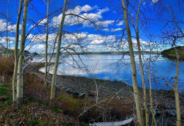 3-4 SAMUEL PLACE, CLARENVILLE, Newfoundland, Canada A5A 3A1, ,0,Land,For Sale,SAMUEL PLACE,6333 3-4 SAMUEL PLACE, CLARENVILLE, Newfoundland, Canada A5A 3A1, ,0,Land,For Sale,SAMUEL PLACE,6333
