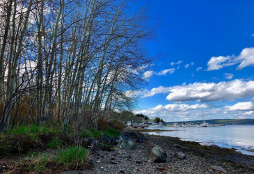 3-4 SAMUEL PLACE, CLARENVILLE, Newfoundland, Canada A5A 3A1, ,0,Land,For Sale,SAMUEL PLACE,6333