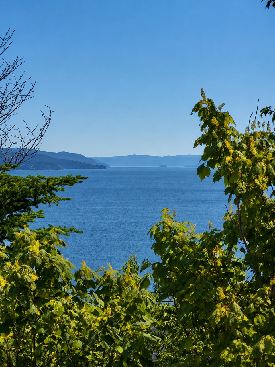 0 DEEP BIGHT ROAD, DEEP BIGHT, Newfoundland, Canada A0E 2B0, ,0,Land,For Sale,DEEP BIGHT ROAD,6334