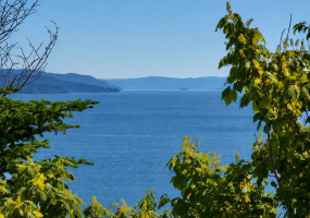 0 DEEP BIGHT ROAD, DEEP BIGHT, Newfoundland, Canada A0E 2B0, ,0,Land,For Sale,DEEP BIGHT ROAD,6334